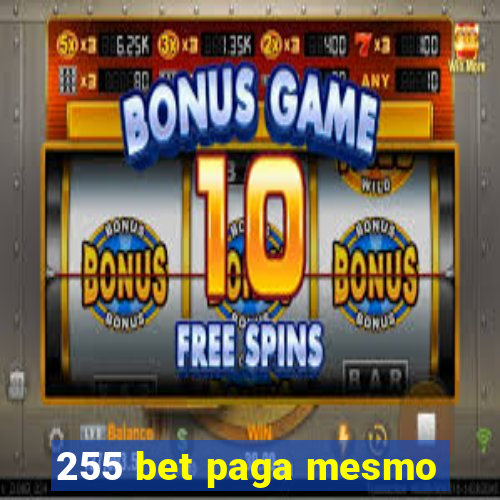 255 bet paga mesmo